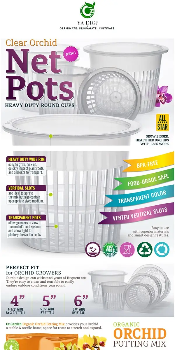 amazon-regular-a-plus-12