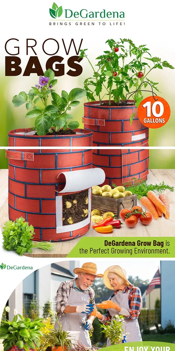amazon-regular-a-plus-33