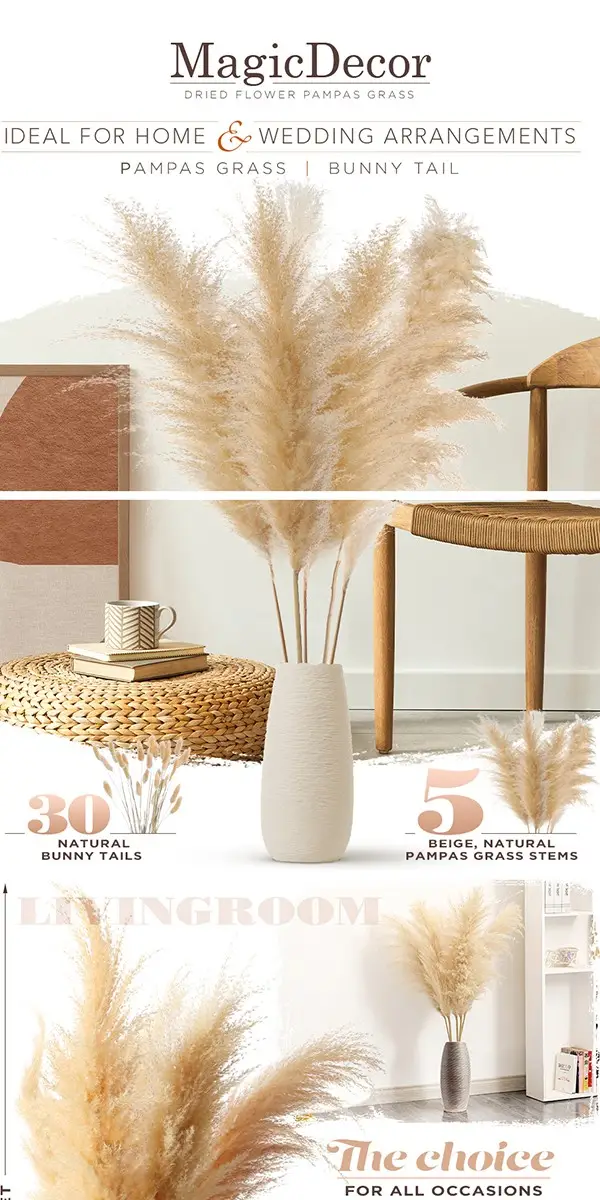 amazon-regular-a-plus-83