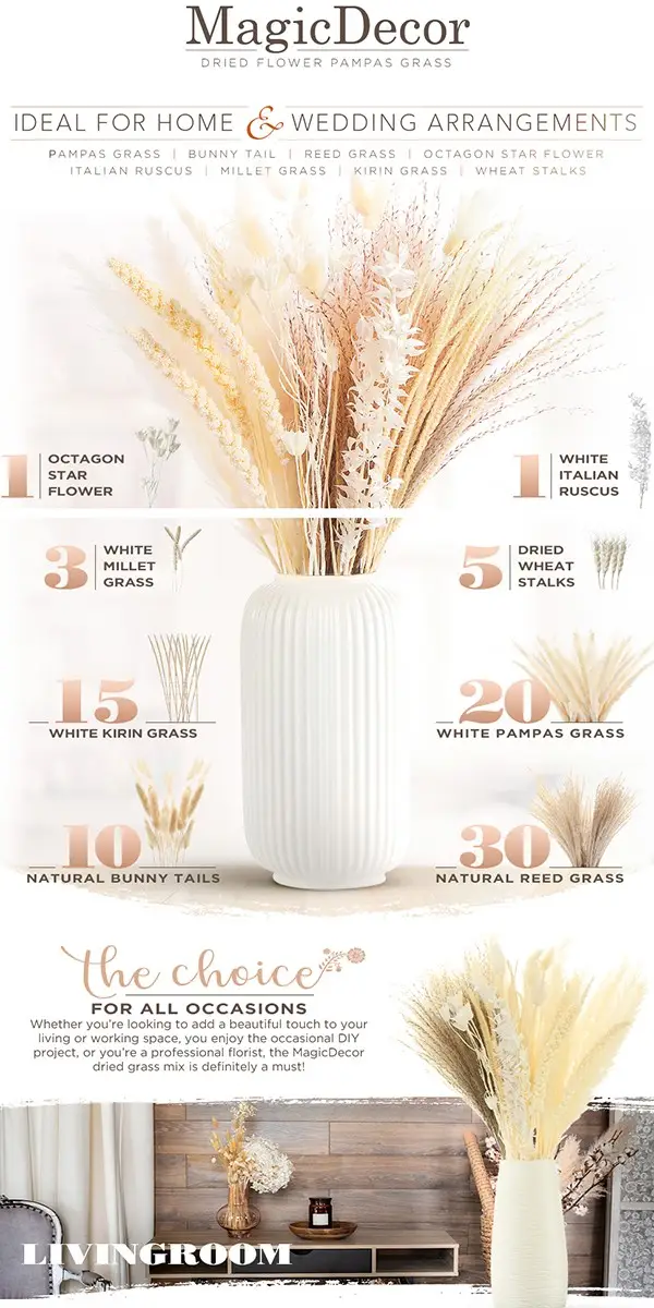 amazon-regular-a-plus-87