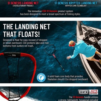 amazon-regular-a-plus-10