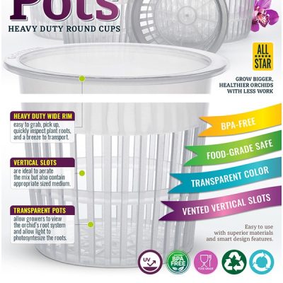 amazon-regular-a-plus-12