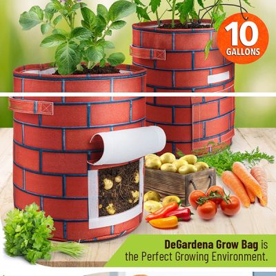 amazon-regular-a-plus-33