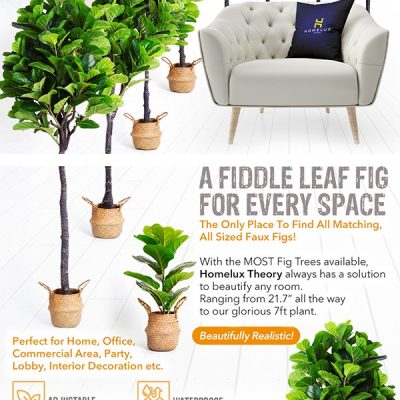 amazon-regular-a-plus-45