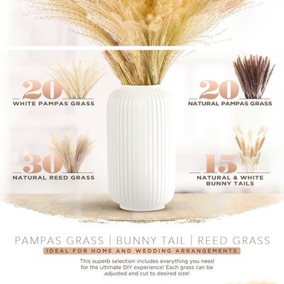 amazon-regular-a-plus-8