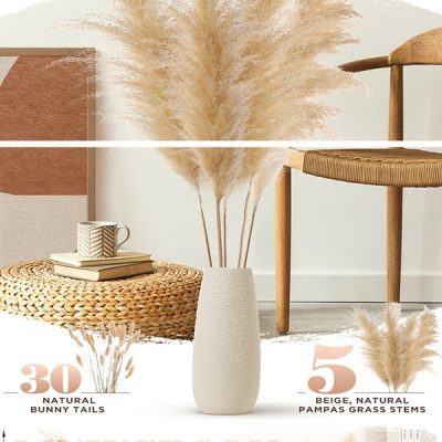 amazon-regular-a-plus-83