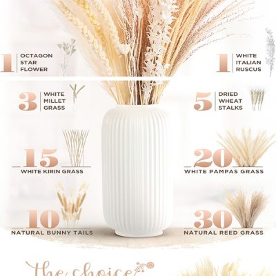 amazon-regular-a-plus-87