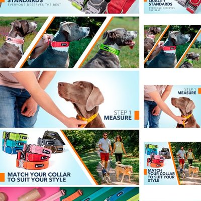 SparcklyPets-NEW-Wide-Collar-A+-featured