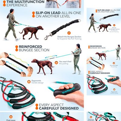 sparklypets-multi-bungee-rope-leash-premium-a-plus-featured