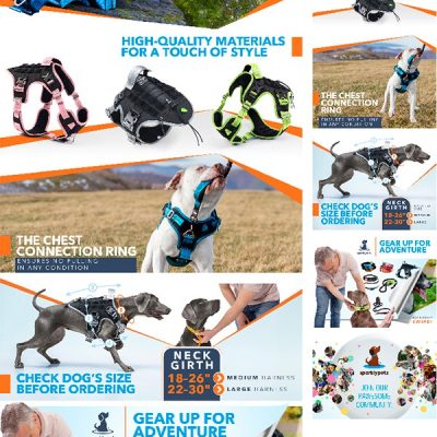 spraklypets-vest-harness-premium-a-plus-featured