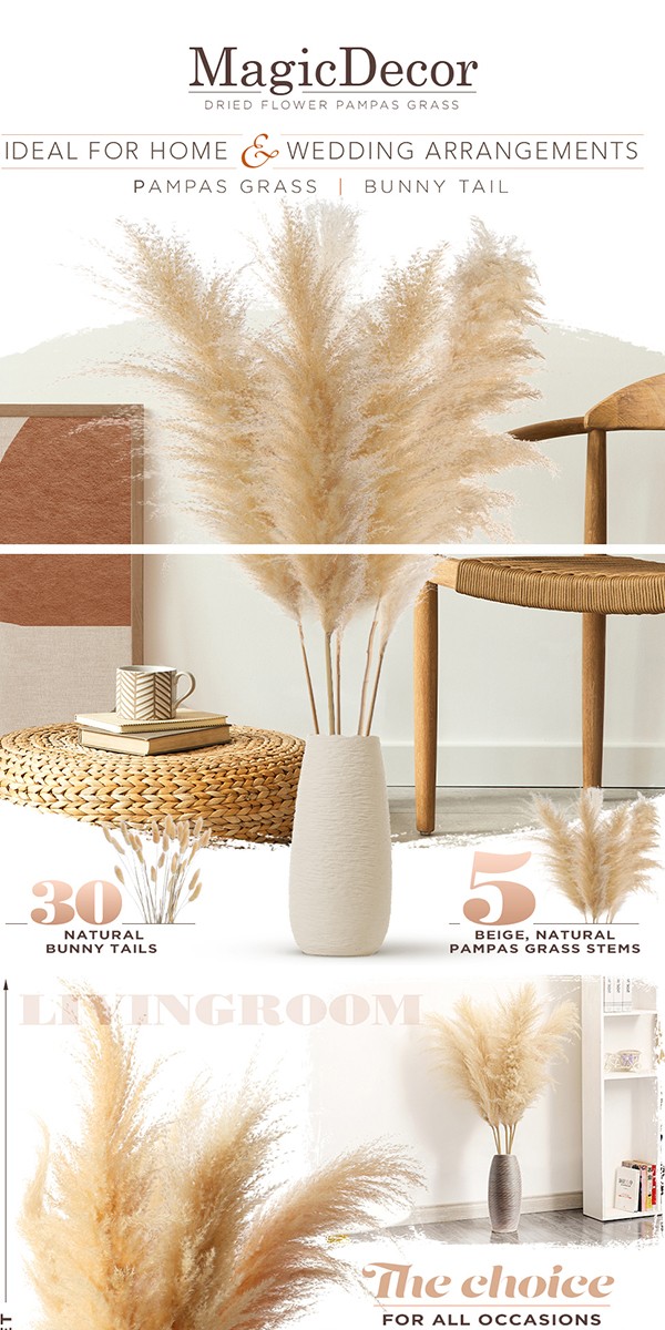 amazon-regular-a-plus-83