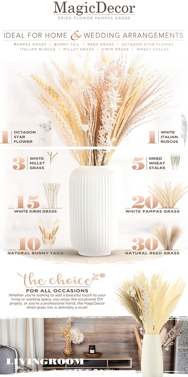 amazon-regular-a-plus-87